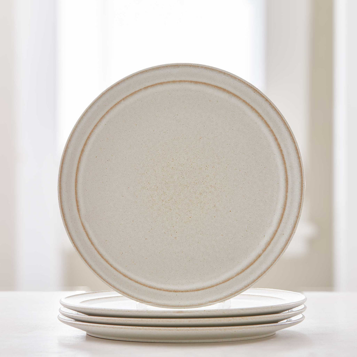 STONEWARE DINNER PLATES-SET of 4