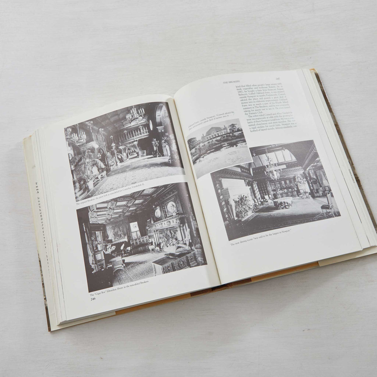 THE VANDERBILTS and THE GILDED AGE