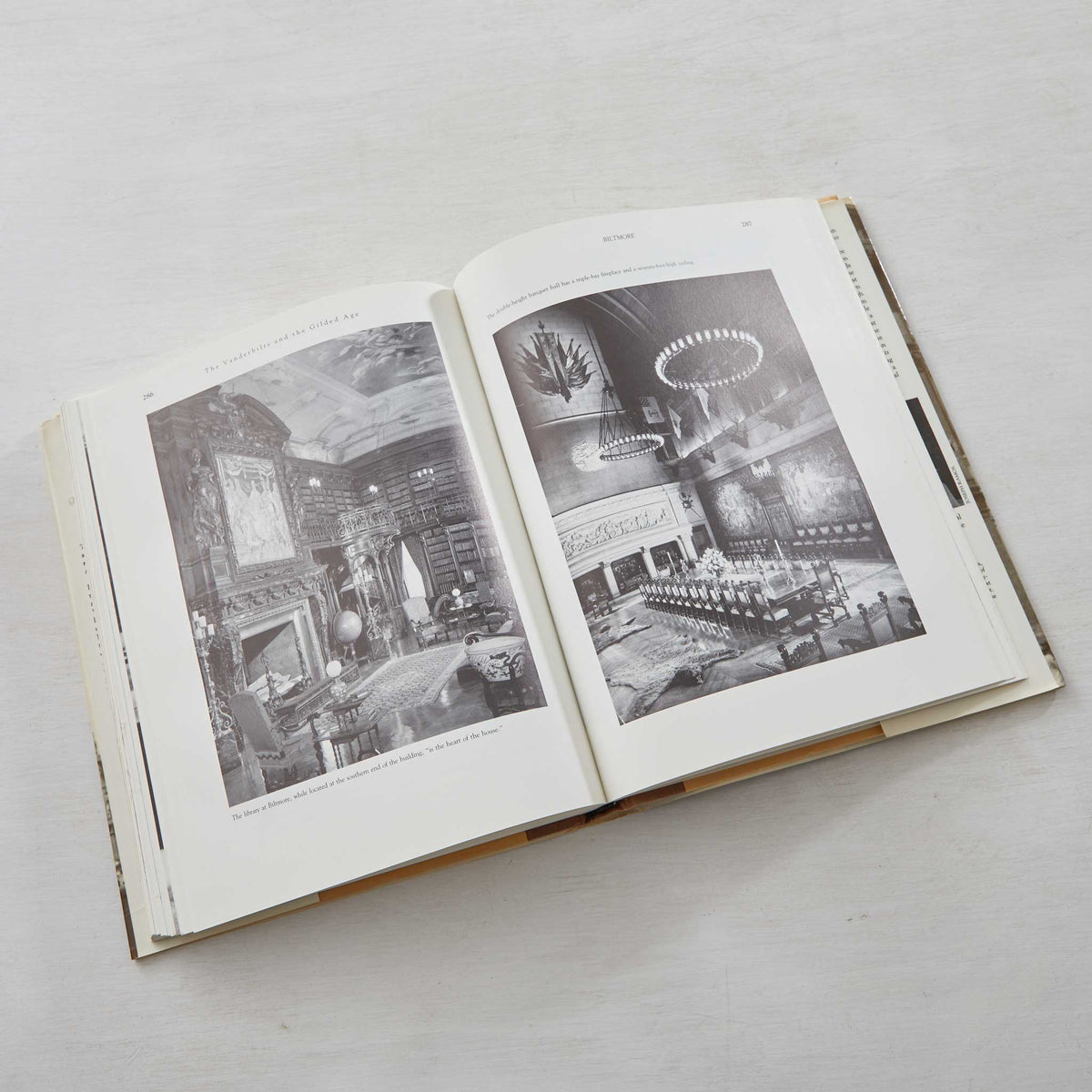 THE VANDERBILTS and THE GILDED AGE