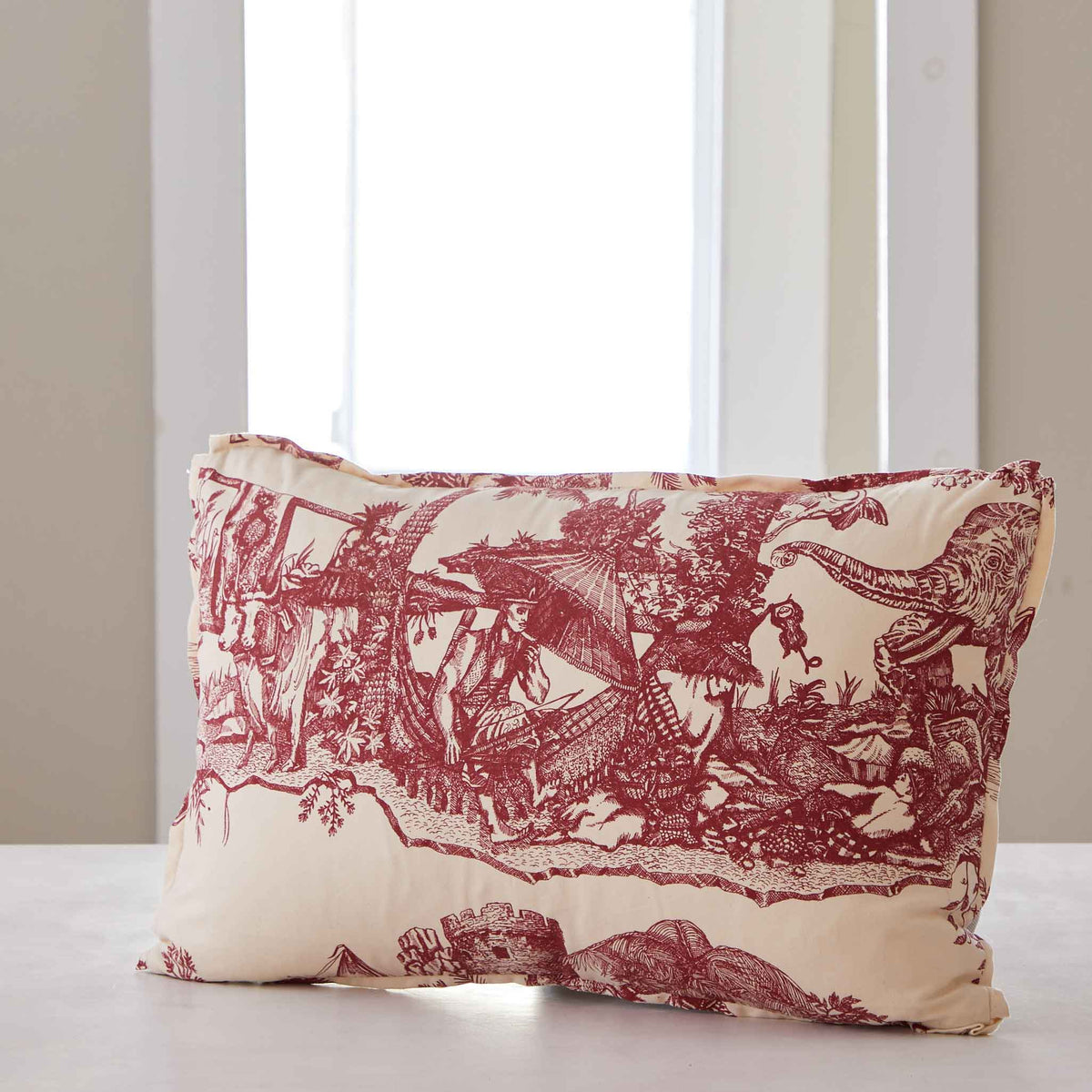 CLASSIC RED &amp;  IVORY TOILE PILLOWS