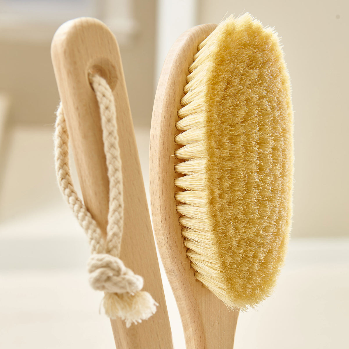 BACK BRUSH WITH HANDLE