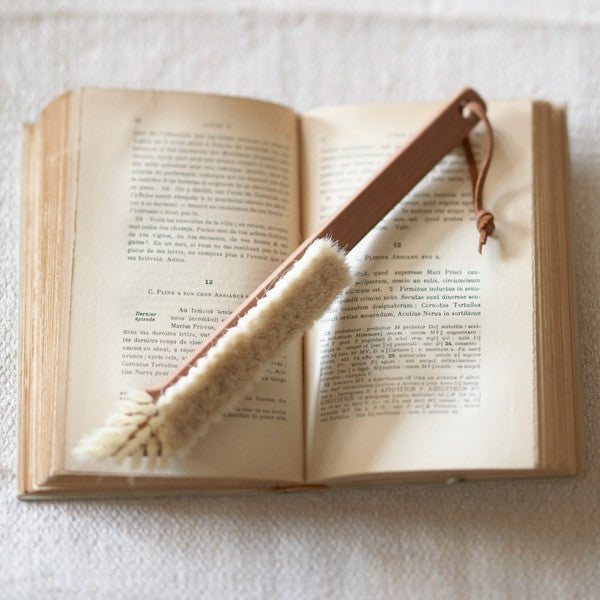 Book Brush